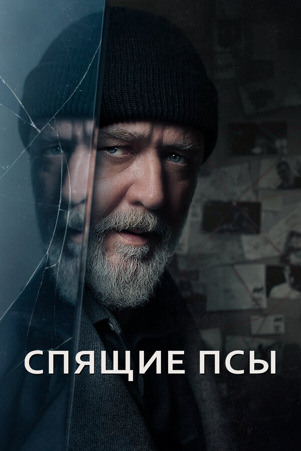 Спящие псы постер
